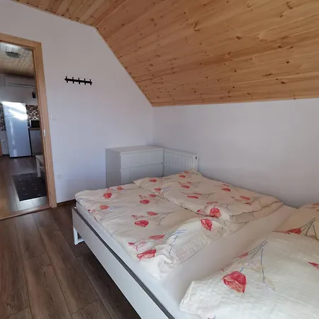 Apartment Bence *