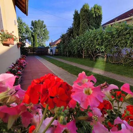 Apartment Bence *